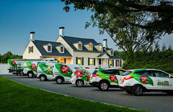 Dial Environmental Picture 9