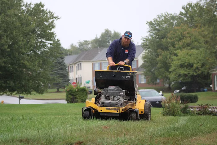 Ned's Lawn and Pest Control Picture 3