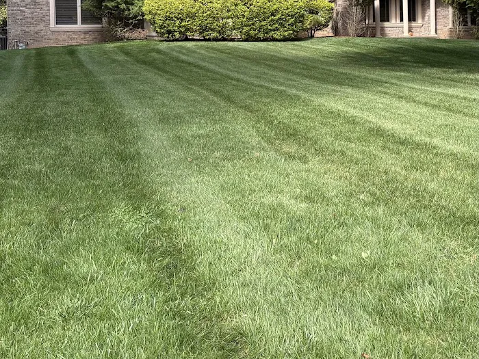 Ned's Lawn and Pest Control Picture 9