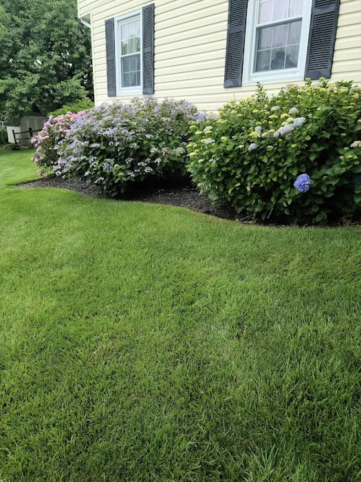 Ned's Lawn and Pest Control Picture 5