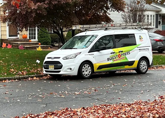 Bugstoppers Pest Control Picture 3