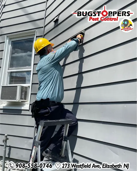 Bugstoppers Pest Control Picture 1