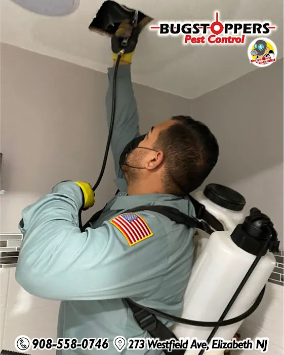 Bugstoppers Pest Control Picture 9