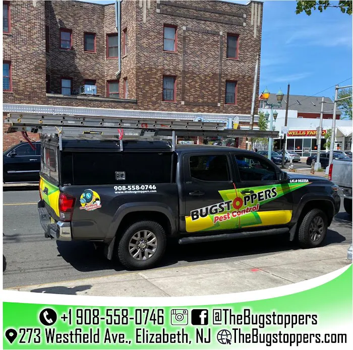 Bugstoppers Pest Control Picture 2