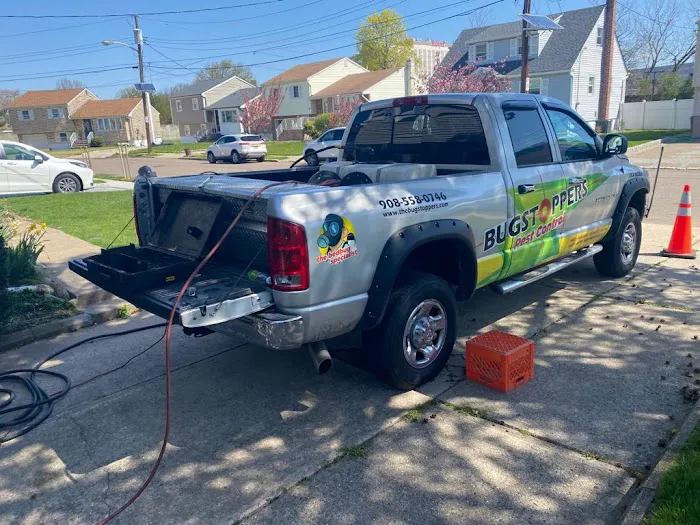 Bugstoppers Pest Control Picture 8