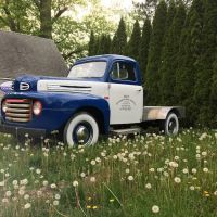 Jay's Exterminating Services ico