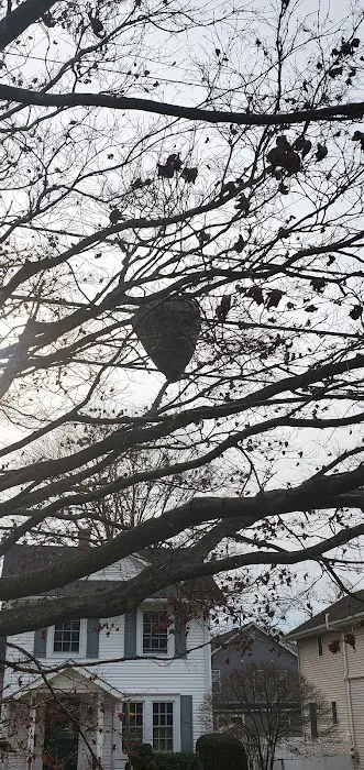 Priority1 Termite & Pest Control Picture 4