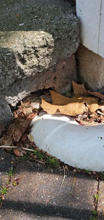 Priority1 Termite & Pest Control Picture 2