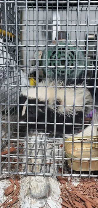 Priority1 Termite & Pest Control Picture 10