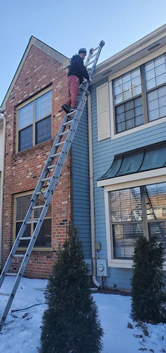 Priority1 Termite & Pest Control Picture 8