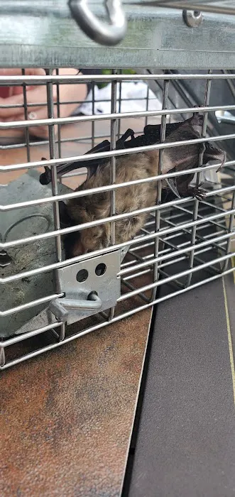 Priority1 Termite & Pest Control Picture 5