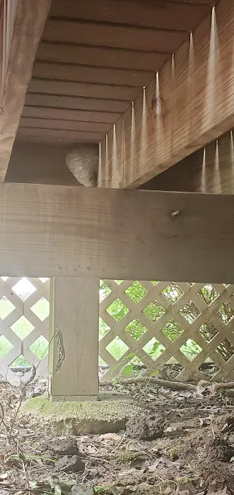 Priority1 Termite & Pest Control Picture 7