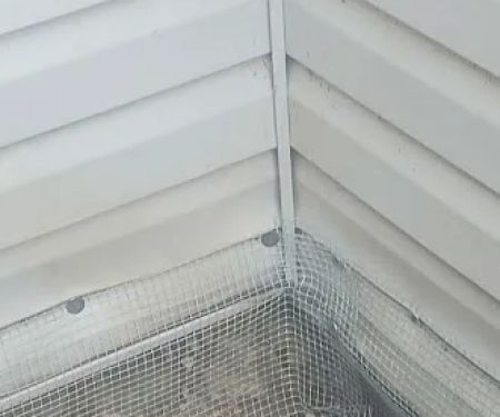 Priority1 Termite & Pest Control