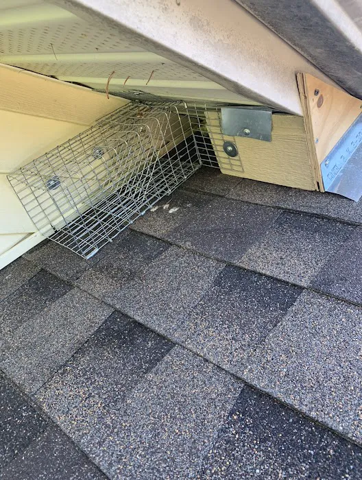 Alpha Termite and Pest Control Picture 4