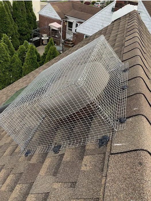 Alpha Termite and Pest Control Picture 5