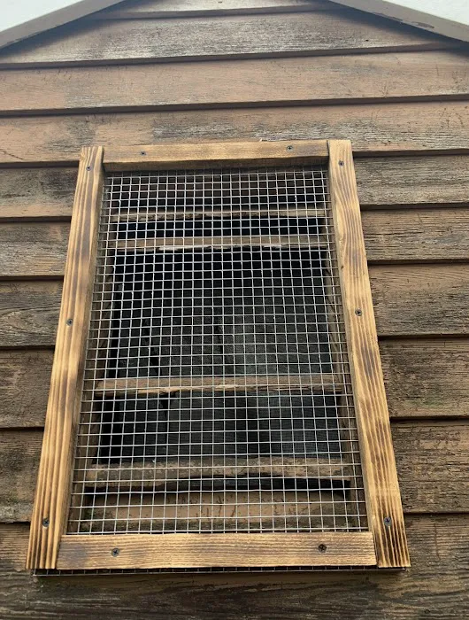 Alpha Termite and Pest Control Picture 7