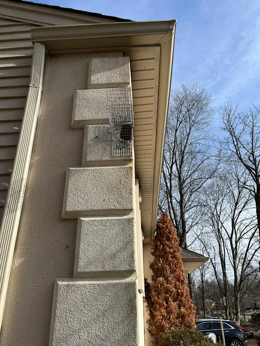 Alpha Termite and Pest Control Picture 8