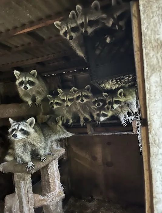 Alpha Termite and Pest Control Picture 6