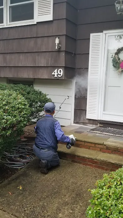 Free Zone Pest Control Picture 4