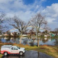 Viking Pest Control ico