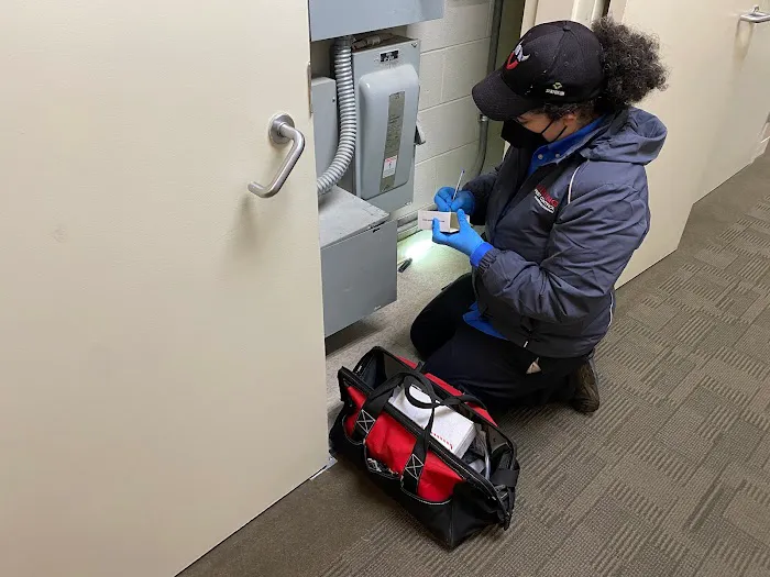 Viking Pest Control Picture 6