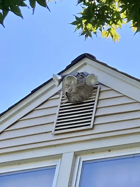 Bug Runner Exterminating Co Picture 6