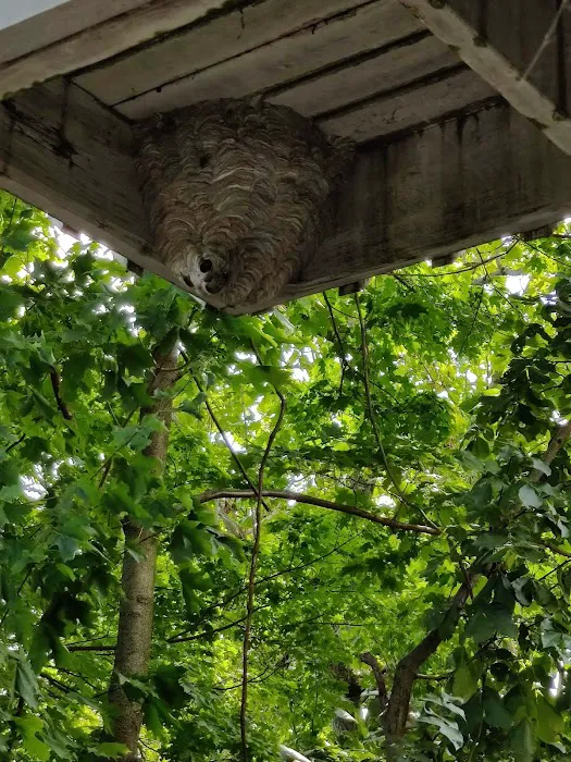 Bug Runner Exterminating Co Picture 7