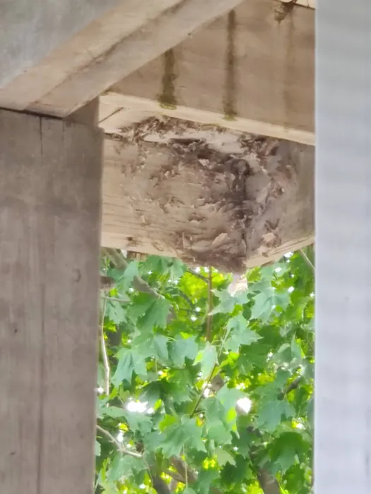 Bug Runner Exterminating Co Picture 2