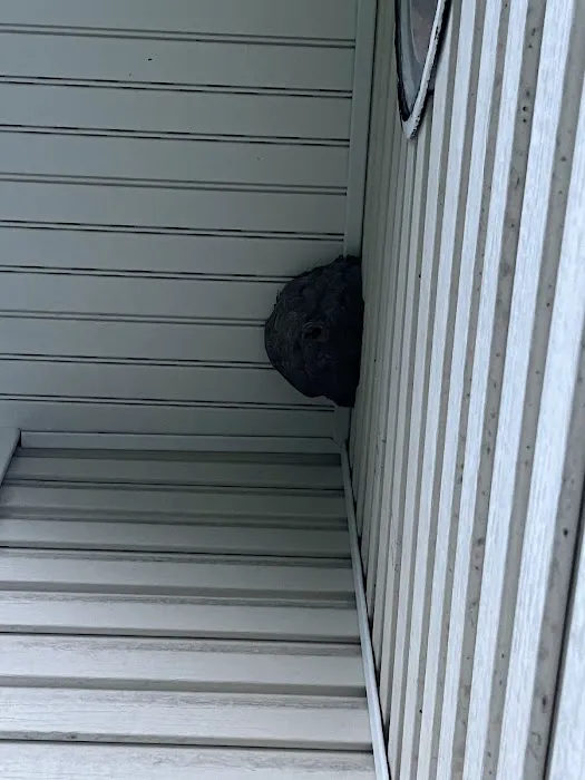 Bug Runner Exterminating Co Picture 5