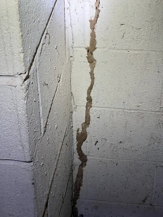 Z Best Pest Control Picture 5