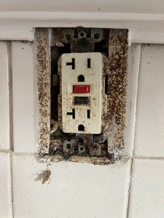 Z Best Pest Control Picture 7