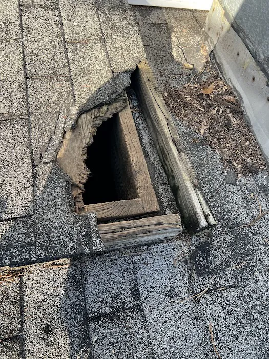 Z Best Pest Control Picture 3