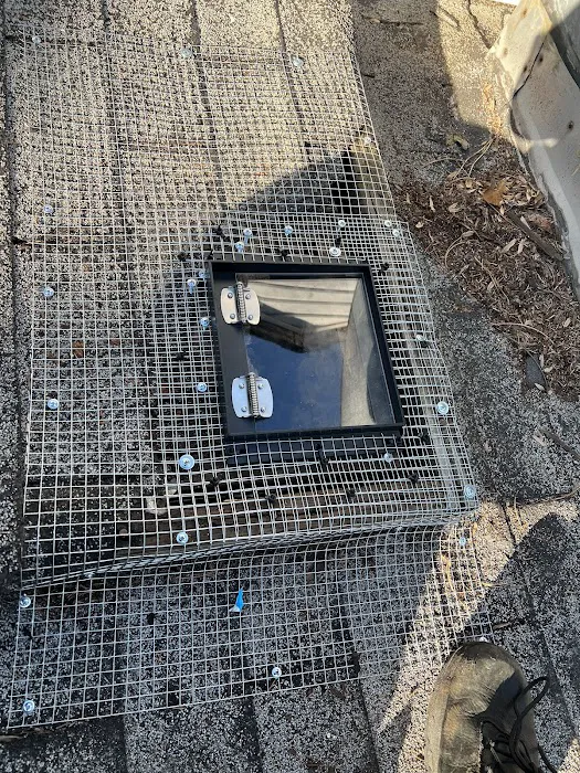 Z Best Pest Control Picture 9