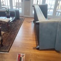 All Clear Bedbug Removal ico