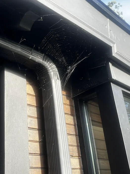 EcoShield Pest Solutions Picture 1