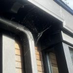 EcoShield Pest Solutions