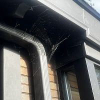 EcoShield Pest Solutions ico