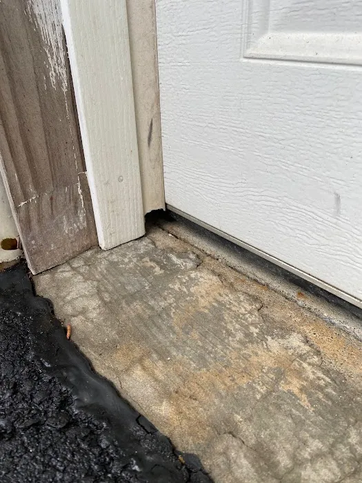 Mrs. Bzzz Pest & Termite Solutions Picture 1