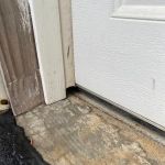 Mrs. Bzzz Pest & Termite Solutions