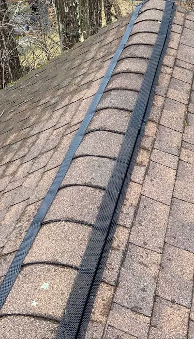 Mrs. Bzzz Pest & Termite Solutions Picture 5