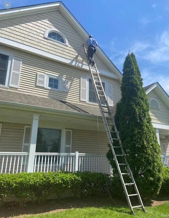 Mrs. Bzzz Pest & Termite Solutions Picture 4