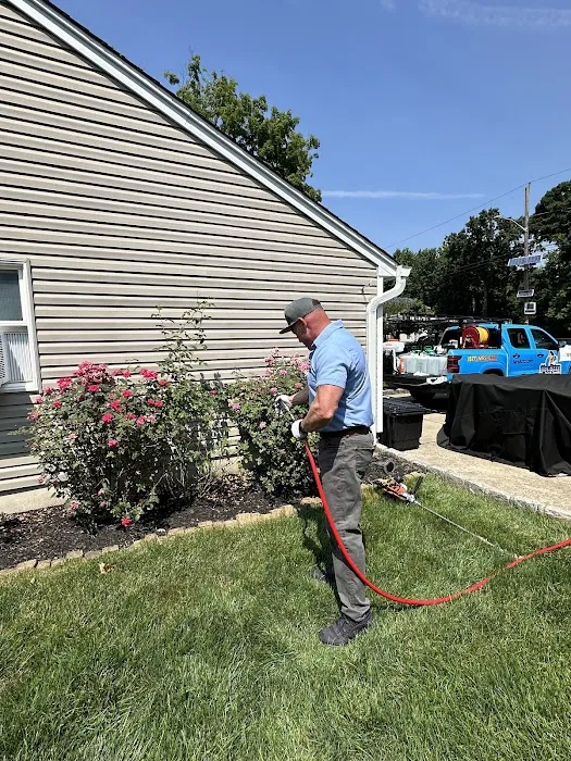 Mrs. Bzzz Pest & Termite Solutions Picture 10