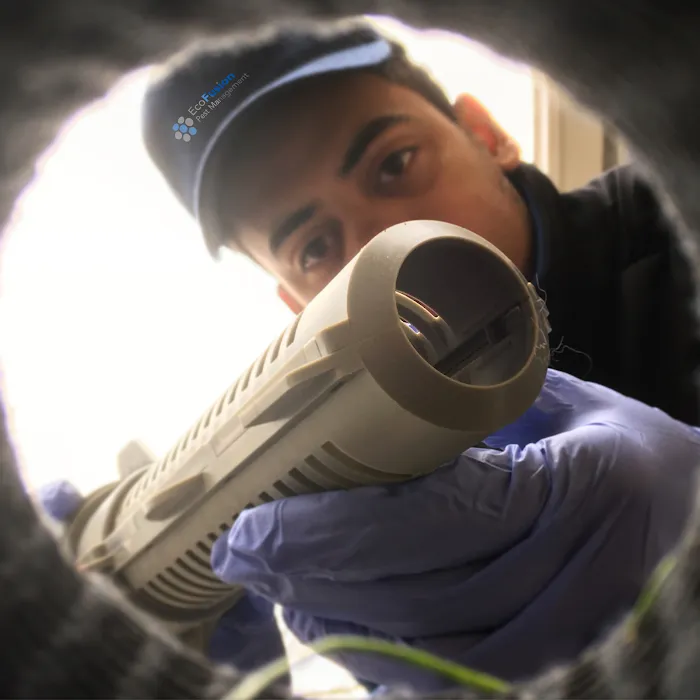 Wayne Termite & Pest Control Picture 3