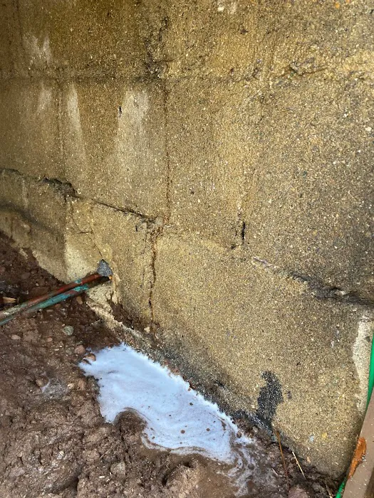 Wayne Termite & Pest Control Picture 4