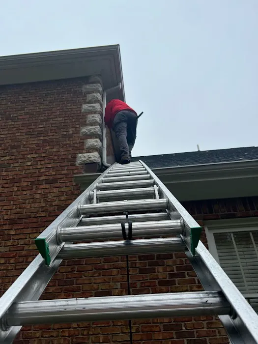 Simply The Best Pest Control Picture 4