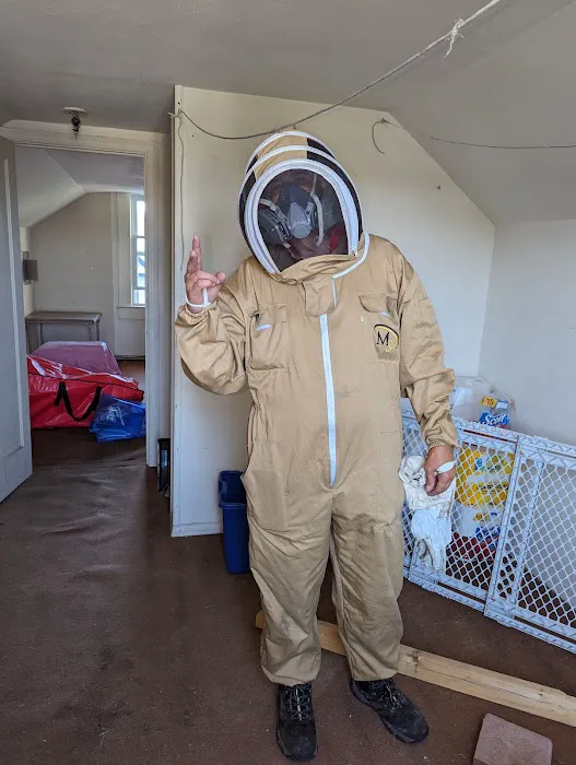 Simply The Best Pest Control Picture 9