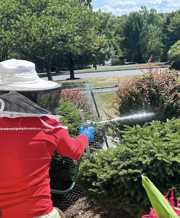 Simply The Best Pest Control Picture 10