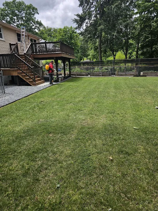 Simply The Best Pest Control Picture 6