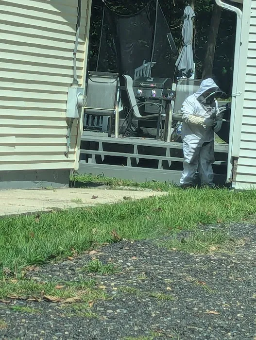 Simply The Best Pest Control Picture 5