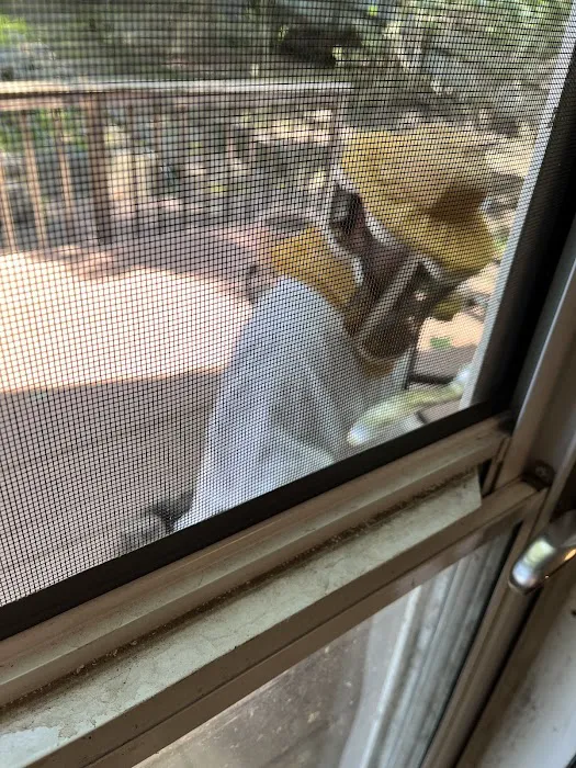 Horizon Pest Control Picture 9